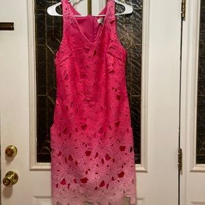 Pink ( Fades from Dark to Light Pink)Size 6 Eyelet Dress